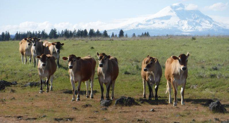 Horseshoe Bend Ranch